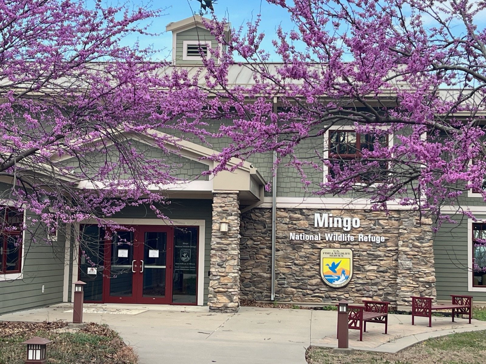 Mingo 3