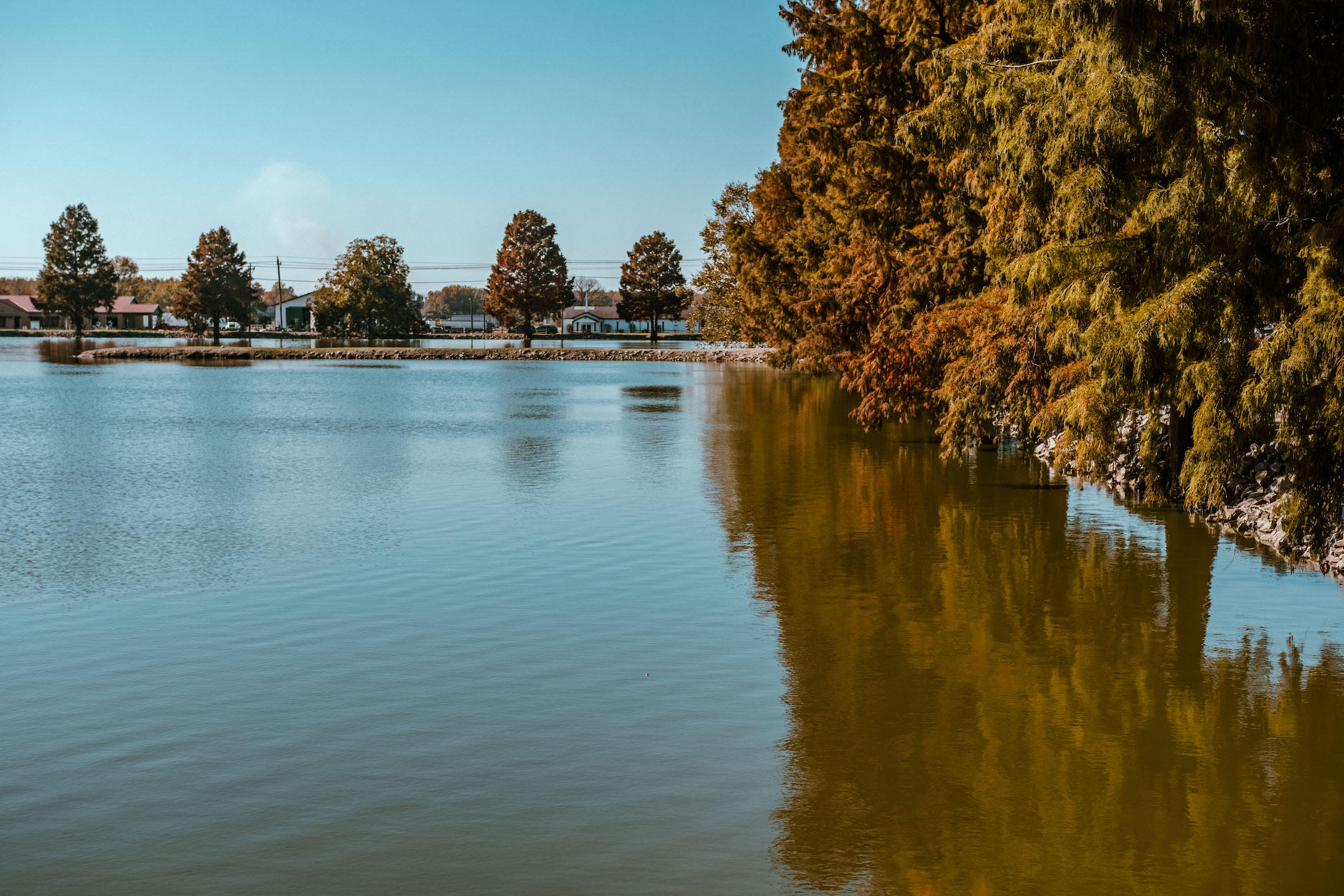 City Lake Visit Dexter